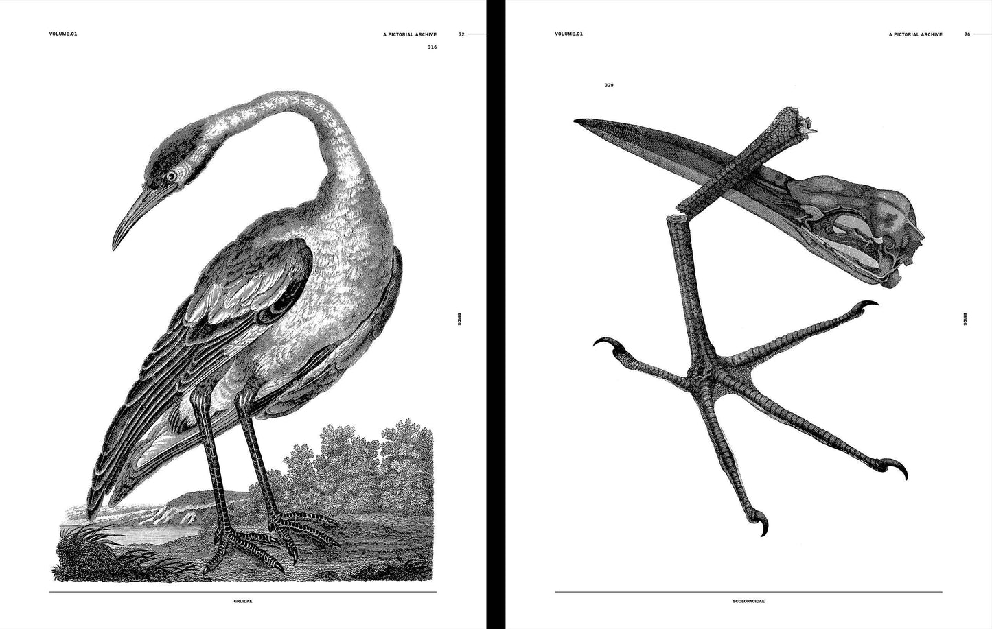 Vault Editions: Birds Reference Book