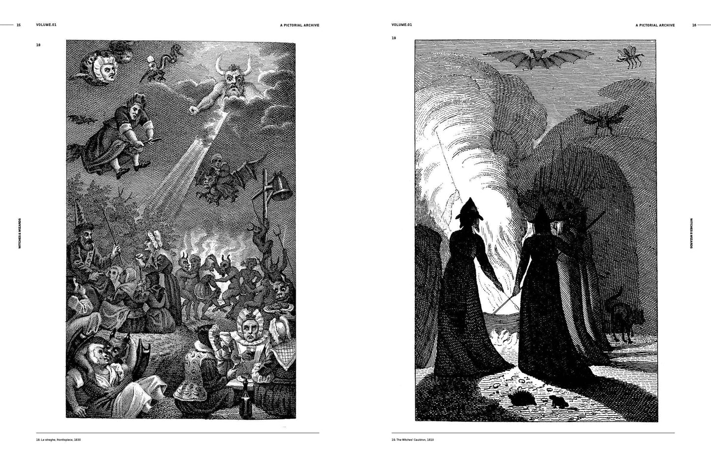 Vault Editions: Witches & Wizards Reference Book