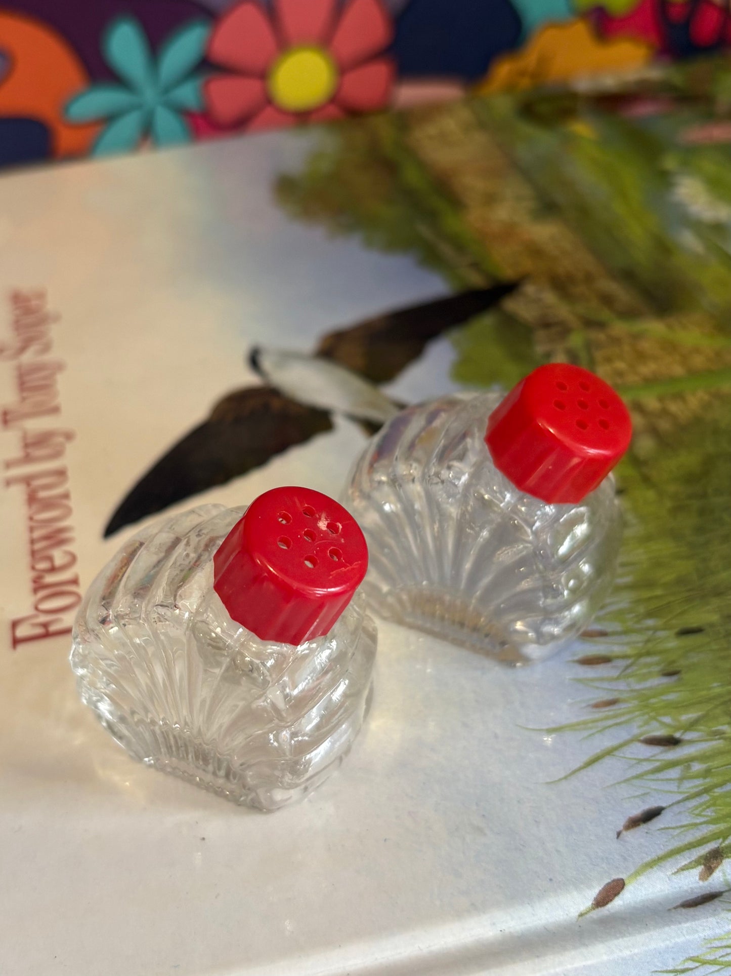 Scallop Baby Salt Shakers