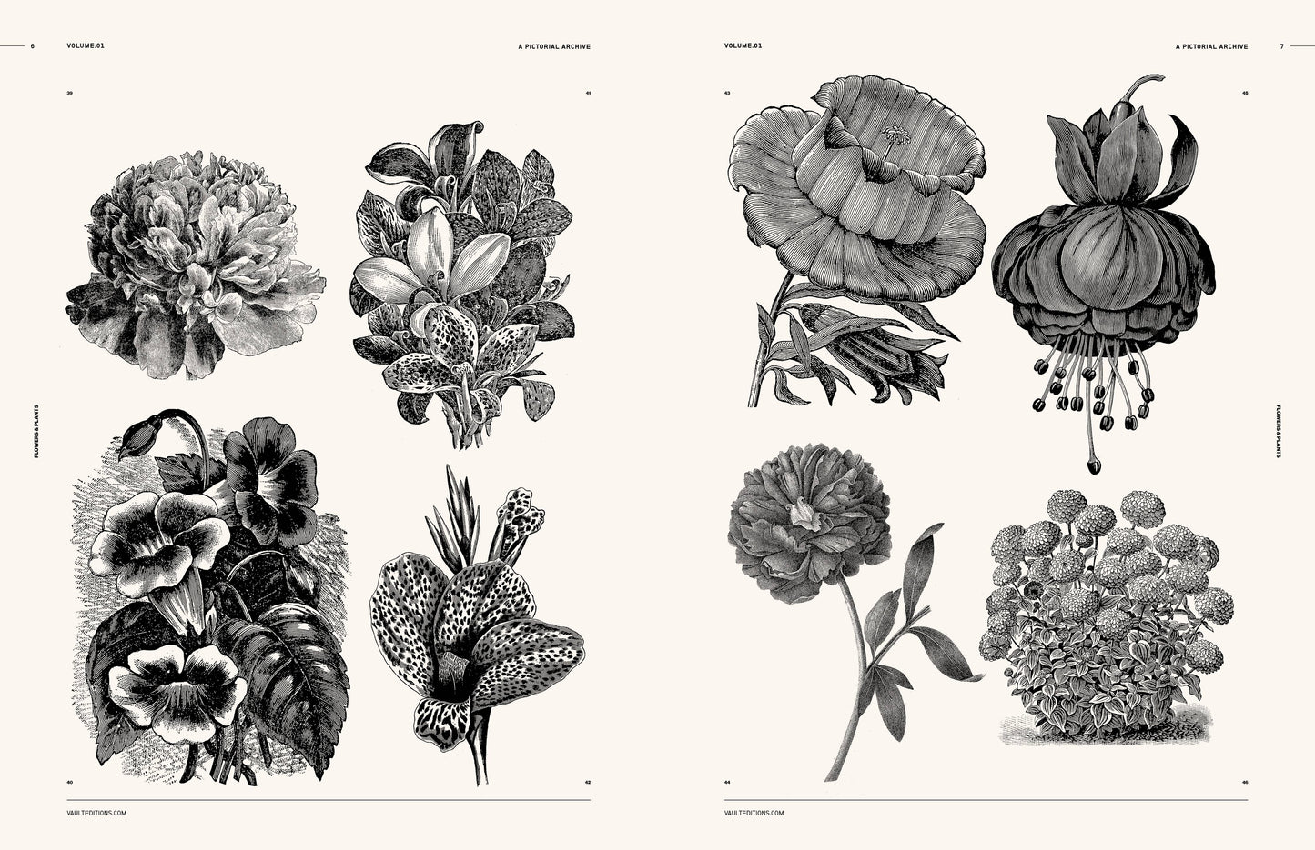 Vault Editions: Flowers and Plants Reference Book