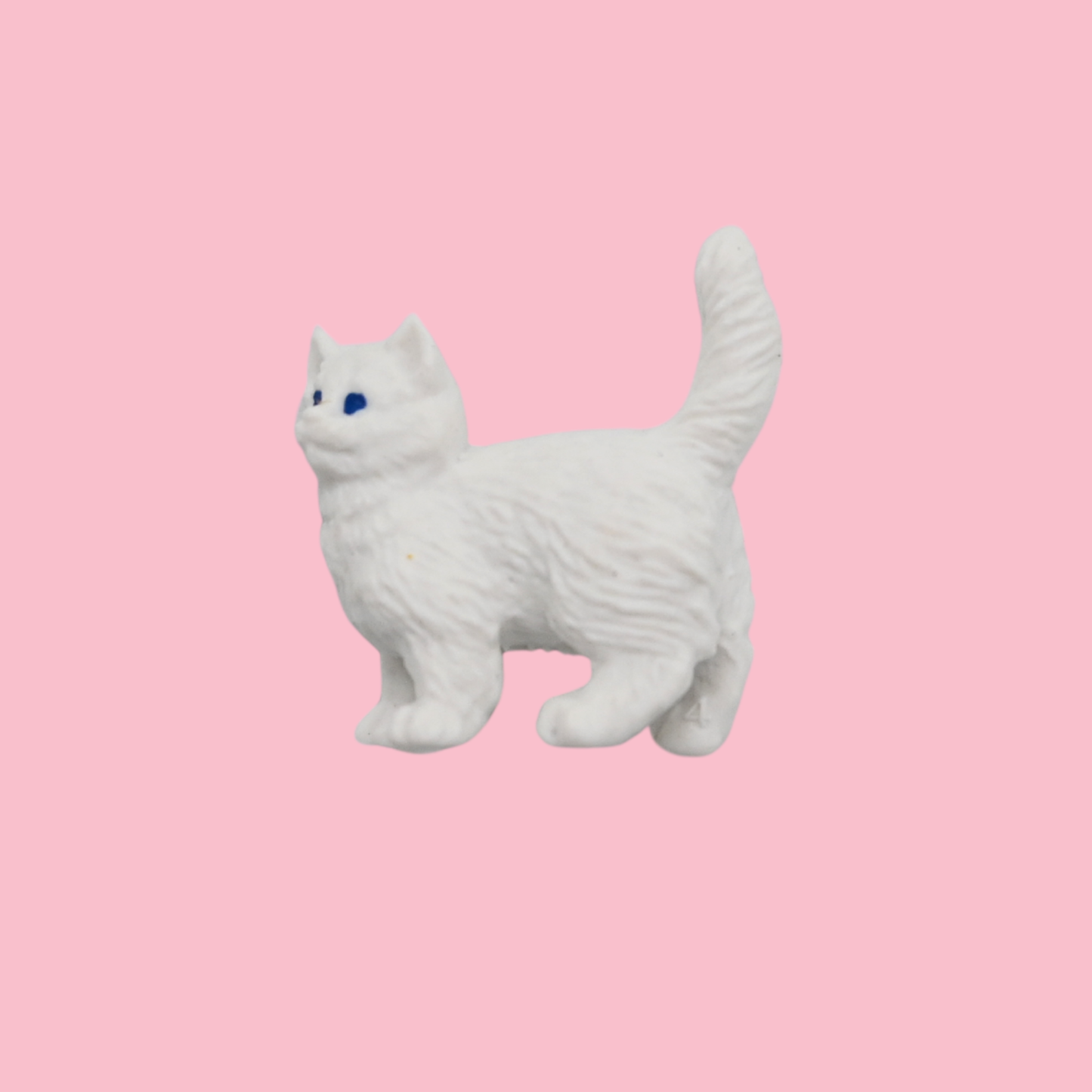 Pocket Cat