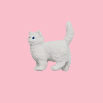 Pocket Cat