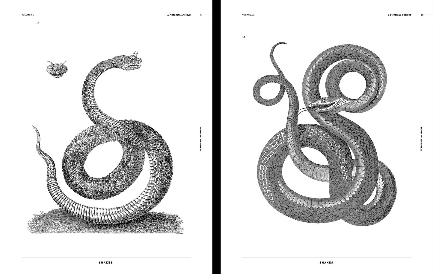 Vault Editions: Snakes & Other Reptiles Reference Book