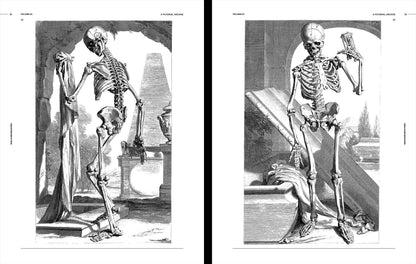 Vault Editions: Skulls & Skeletons Reference Book