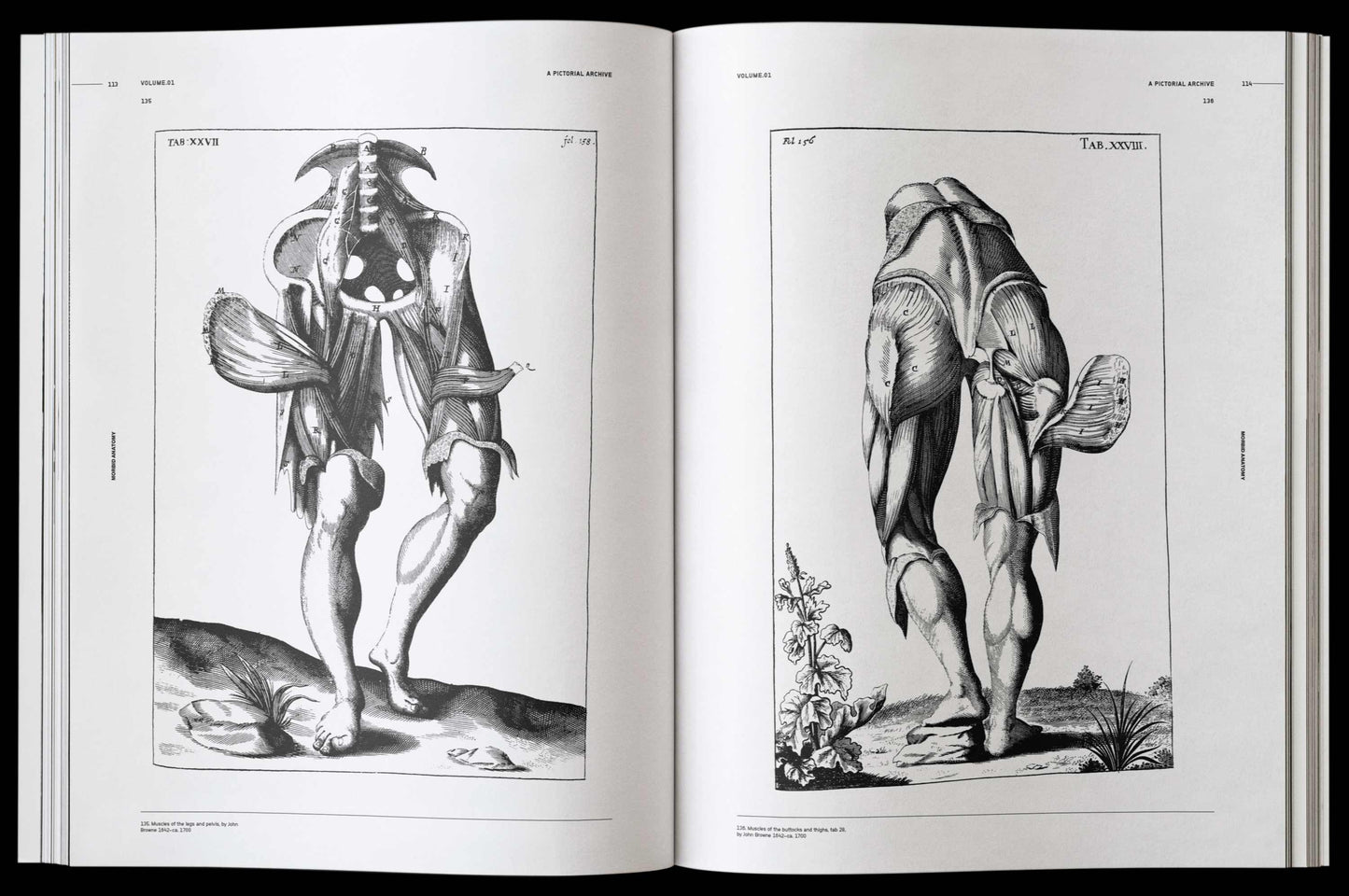 Vault Editions: Morbid Anatomy Reference Book