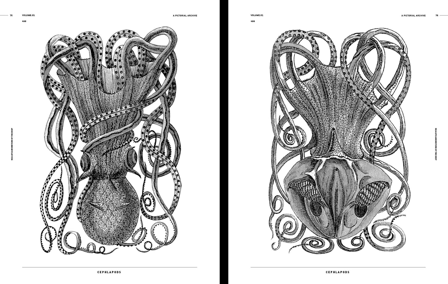 Vault Editions: Sea-Life & Monsters of the Deep Reference Book