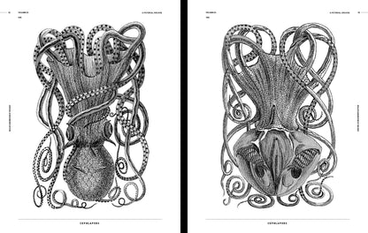 Vault Editions: Sea-Life & Monsters of the Deep Reference Book