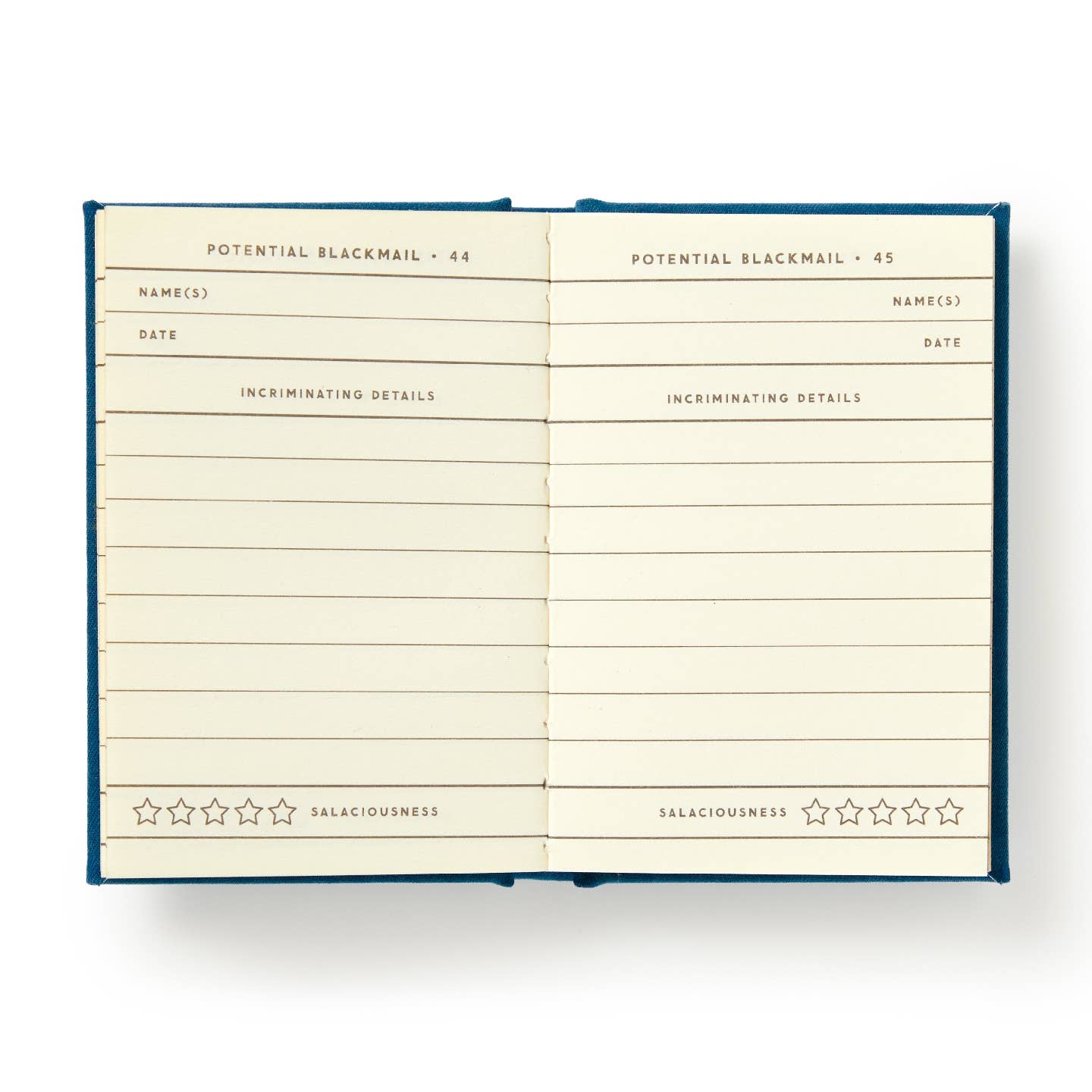 Future Blackmail Tiny Diary