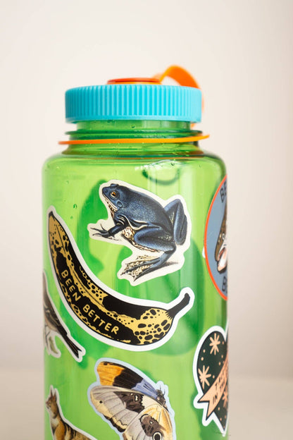 Been Better (Banana) Sticker | Waterproof Vinyl Sticker