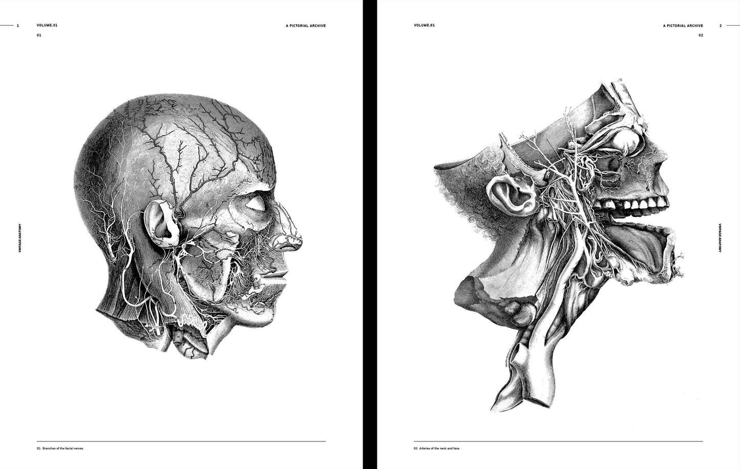 Vault Editions: Vintage Anatomy Reference Book