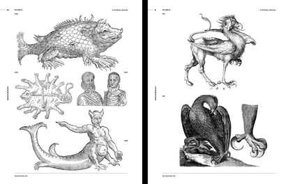 Vault Editions: Monsters and Beasts Reference Book