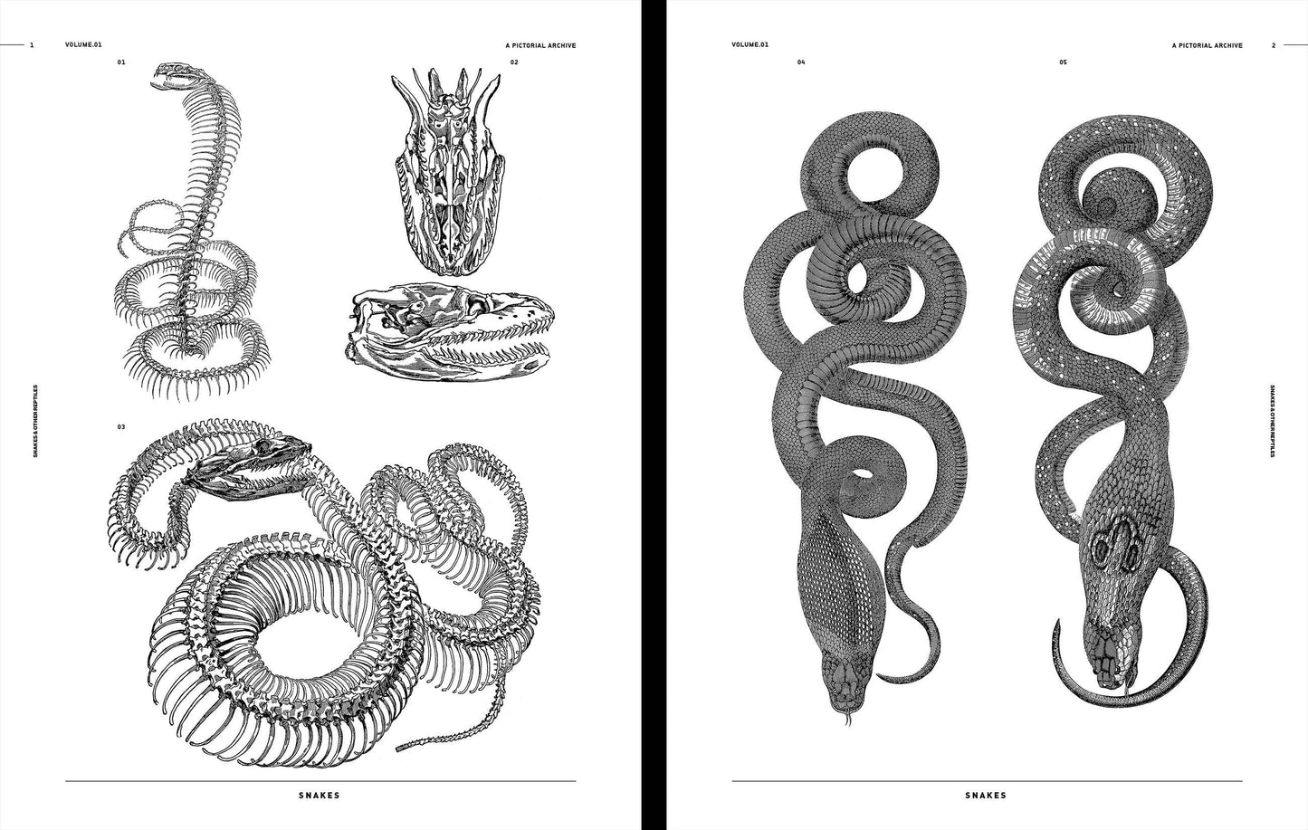 Vault Editions: Snakes & Other Reptiles Reference Book