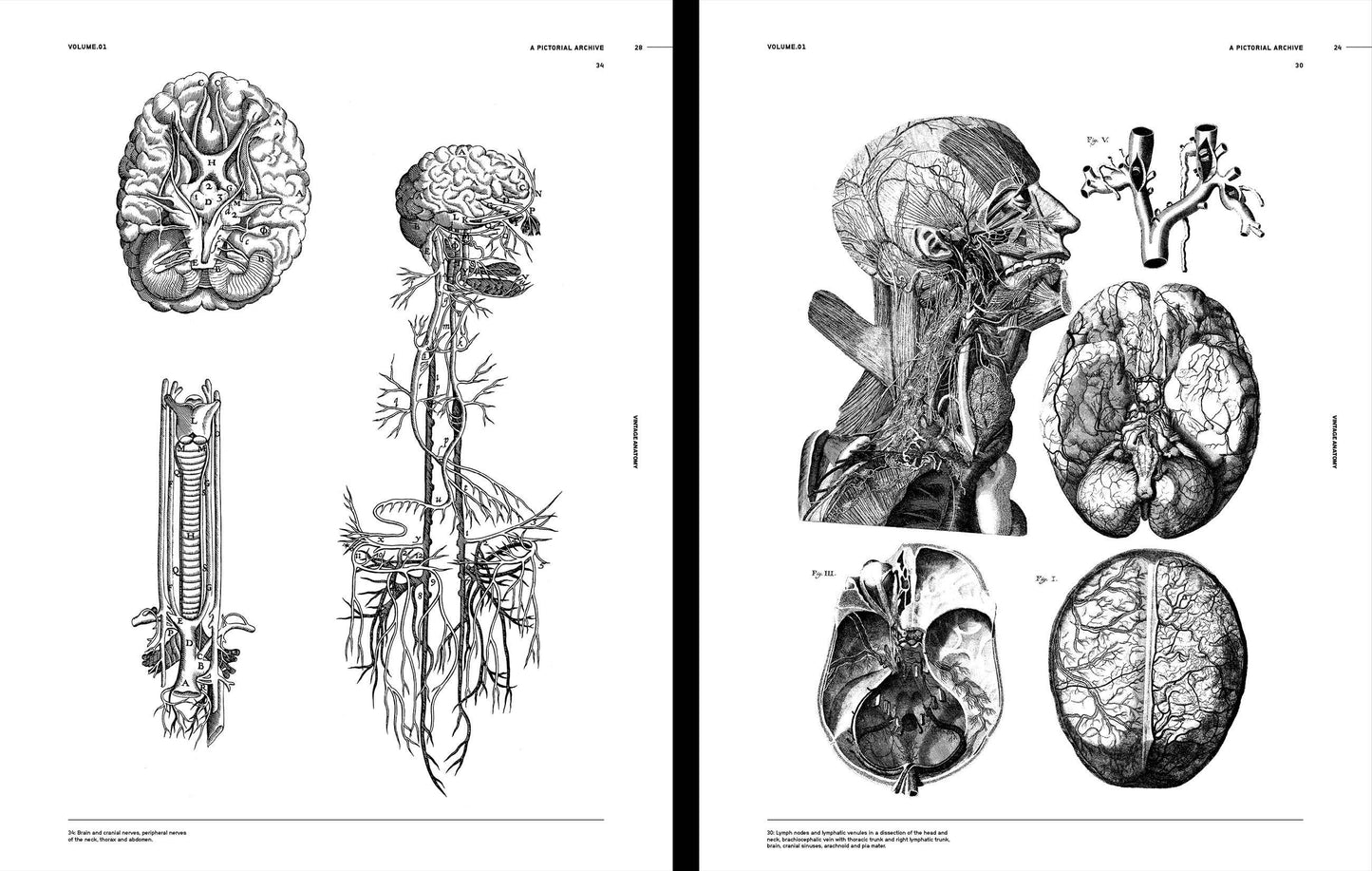 Vault Editions: Vintage Anatomy Reference Book