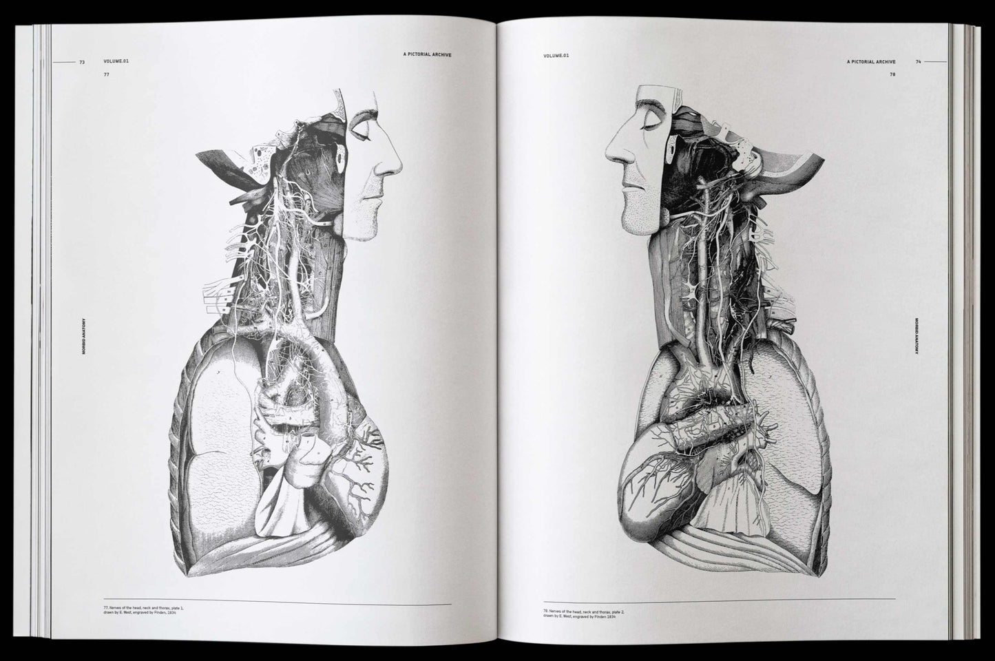 Vault Editions: Morbid Anatomy Reference Book