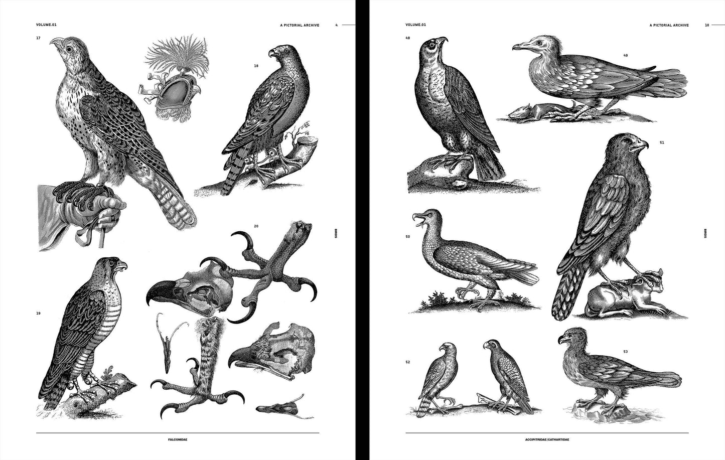 Vault Editions: Birds Reference Book