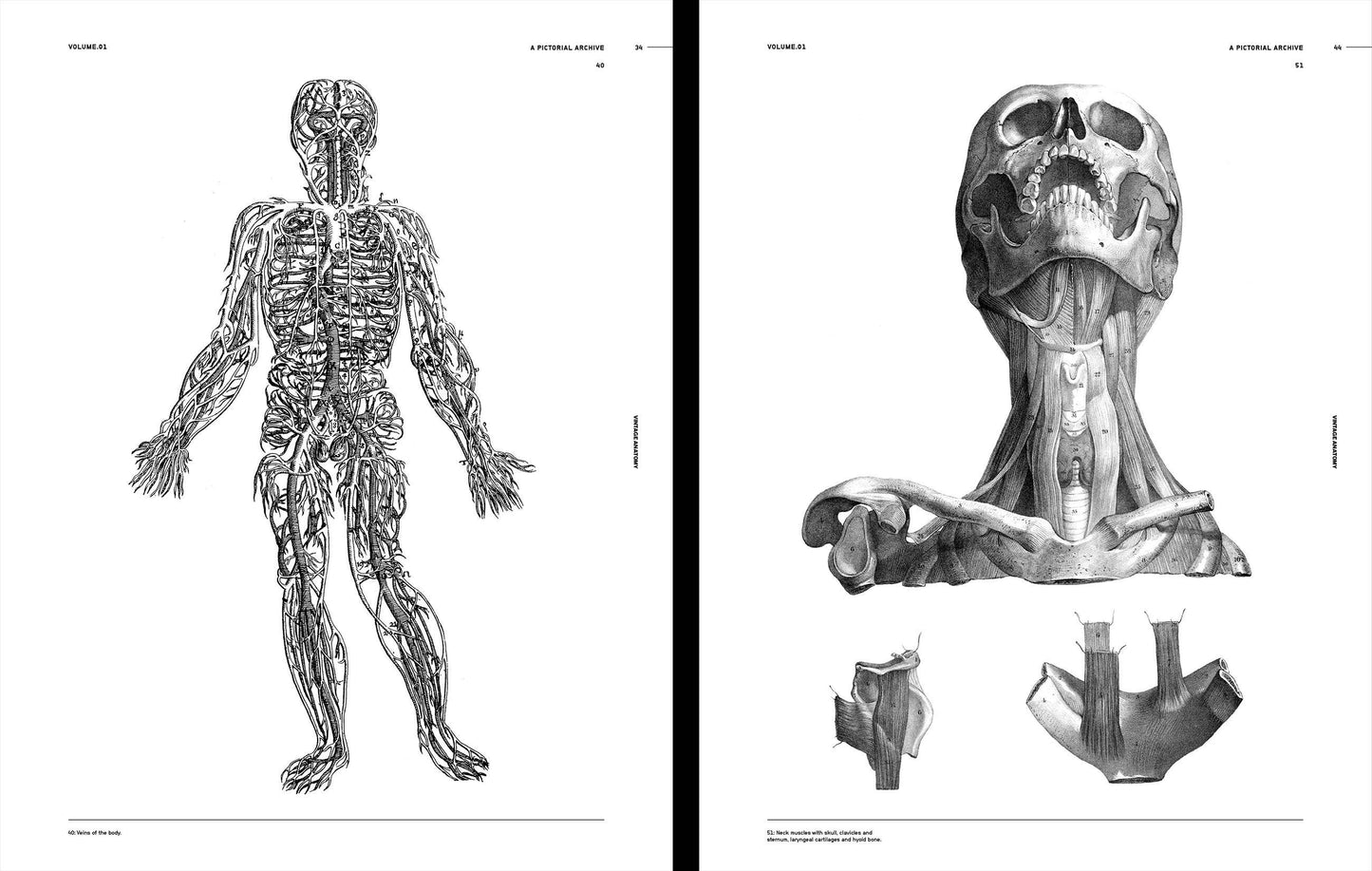 Vault Editions: Vintage Anatomy Reference Book