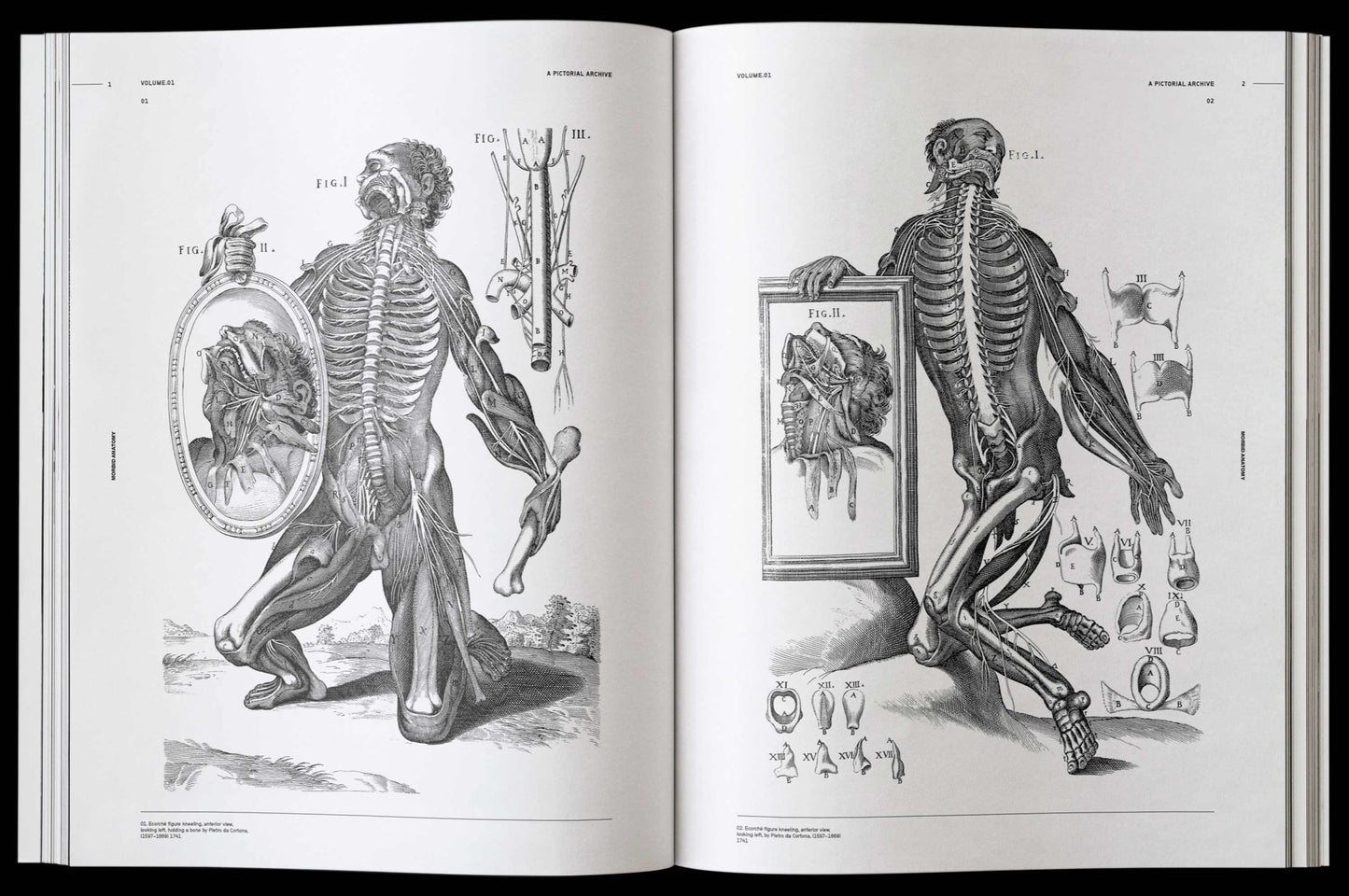 Vault Editions: Morbid Anatomy Reference Book