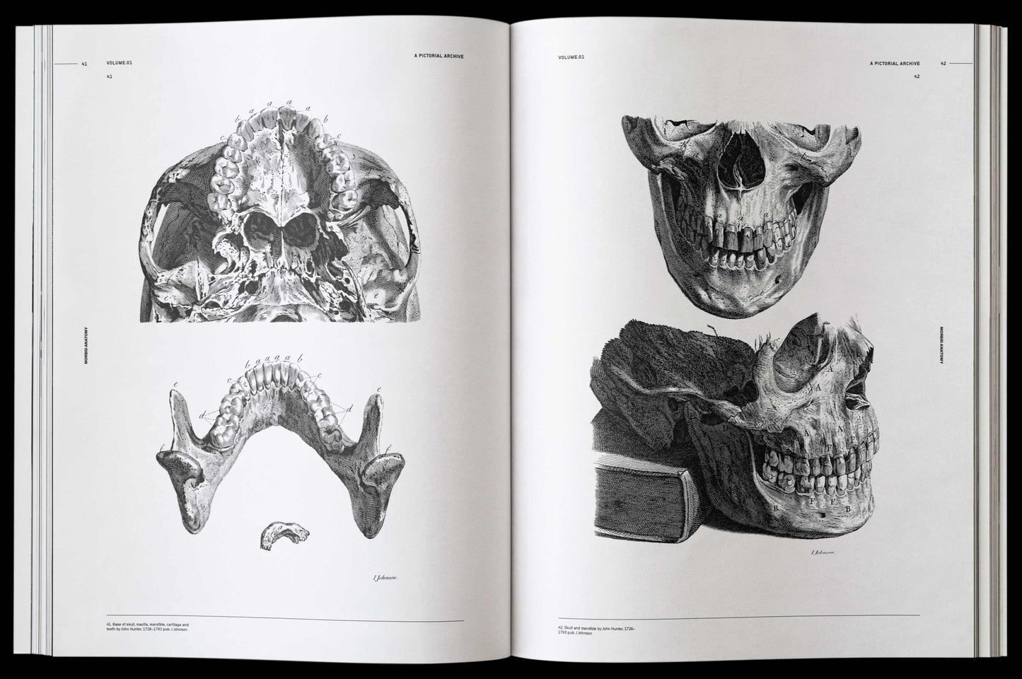 Vault Editions: Morbid Anatomy Reference Book