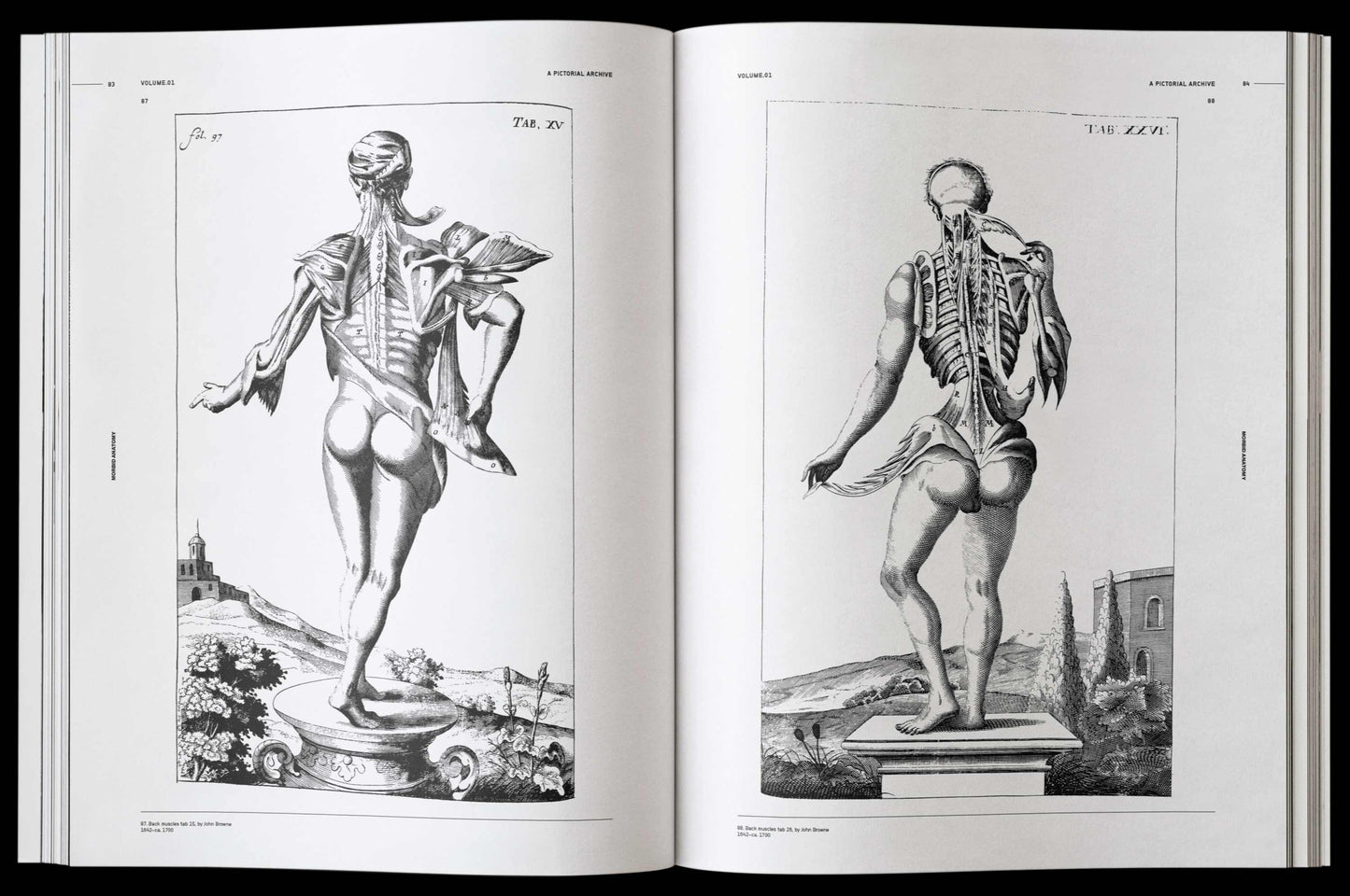 Vault Editions: Morbid Anatomy Reference Book