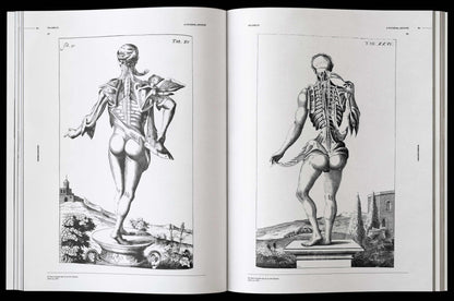 Vault Editions: Morbid Anatomy Reference Book