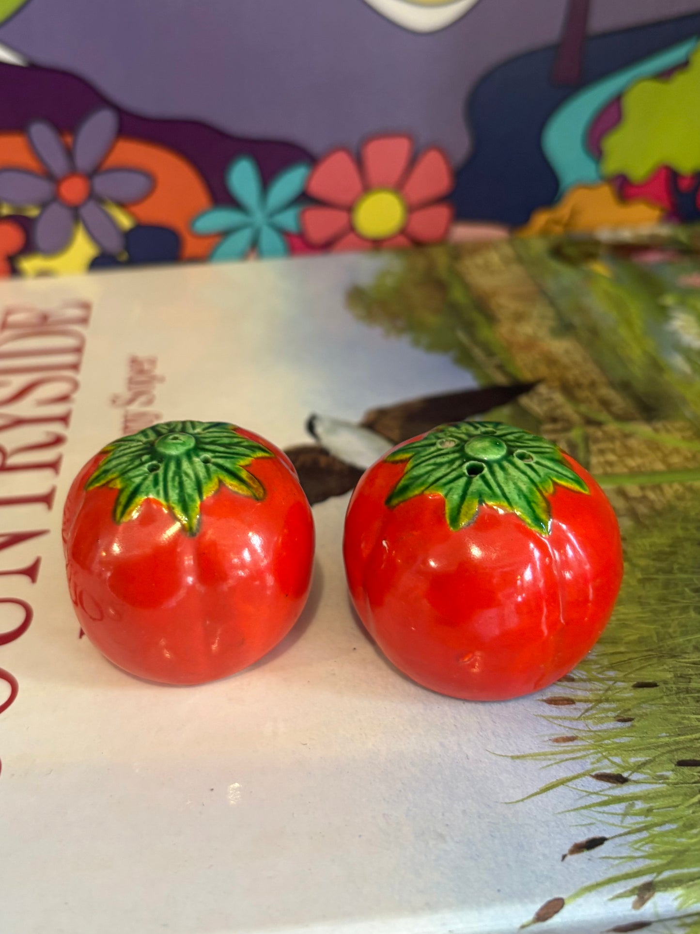 Vintage Tomato Salt Shakers