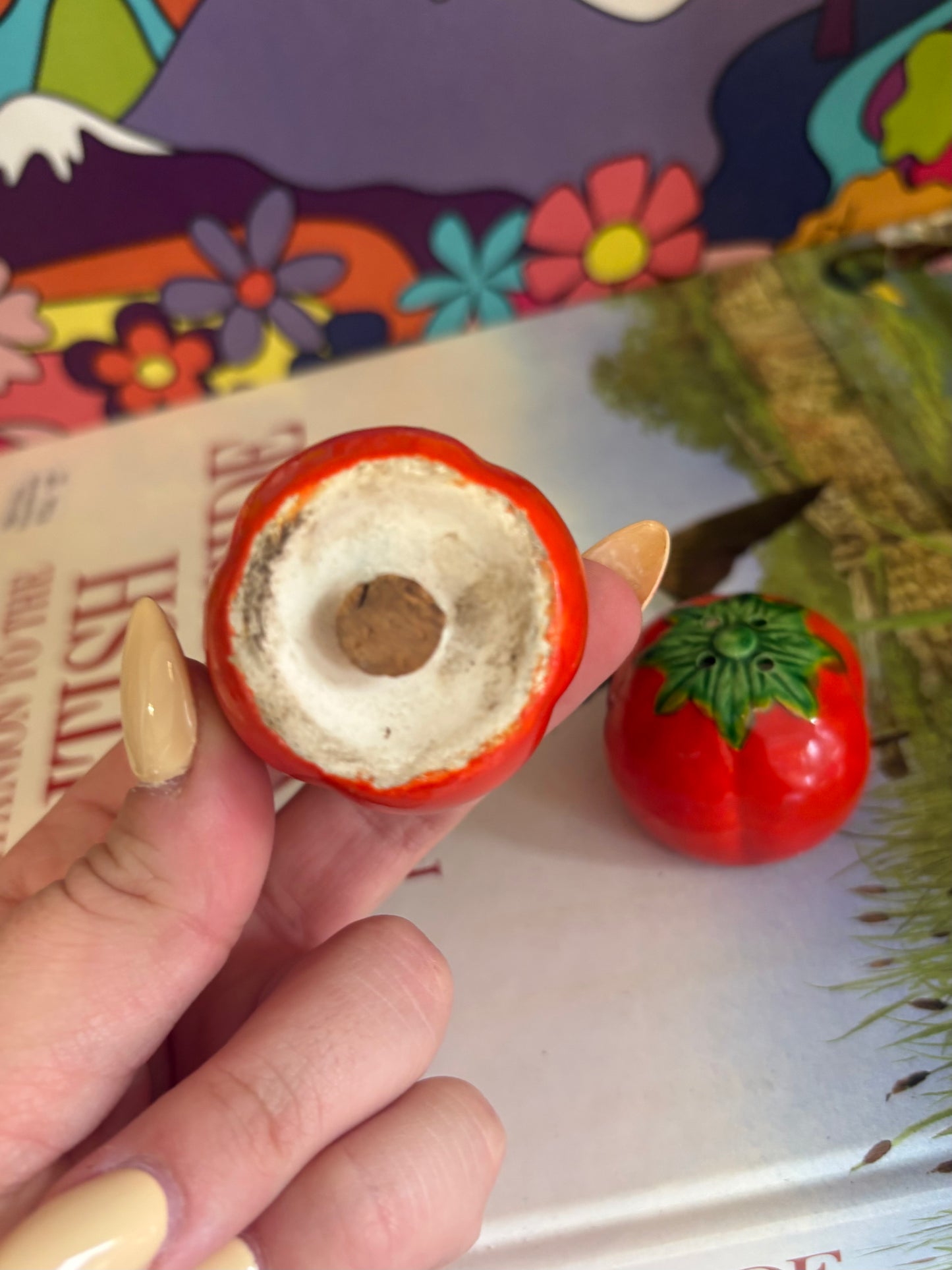 Vintage Tomato Salt Shakers