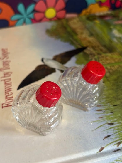 Scallop Baby Salt Shakers