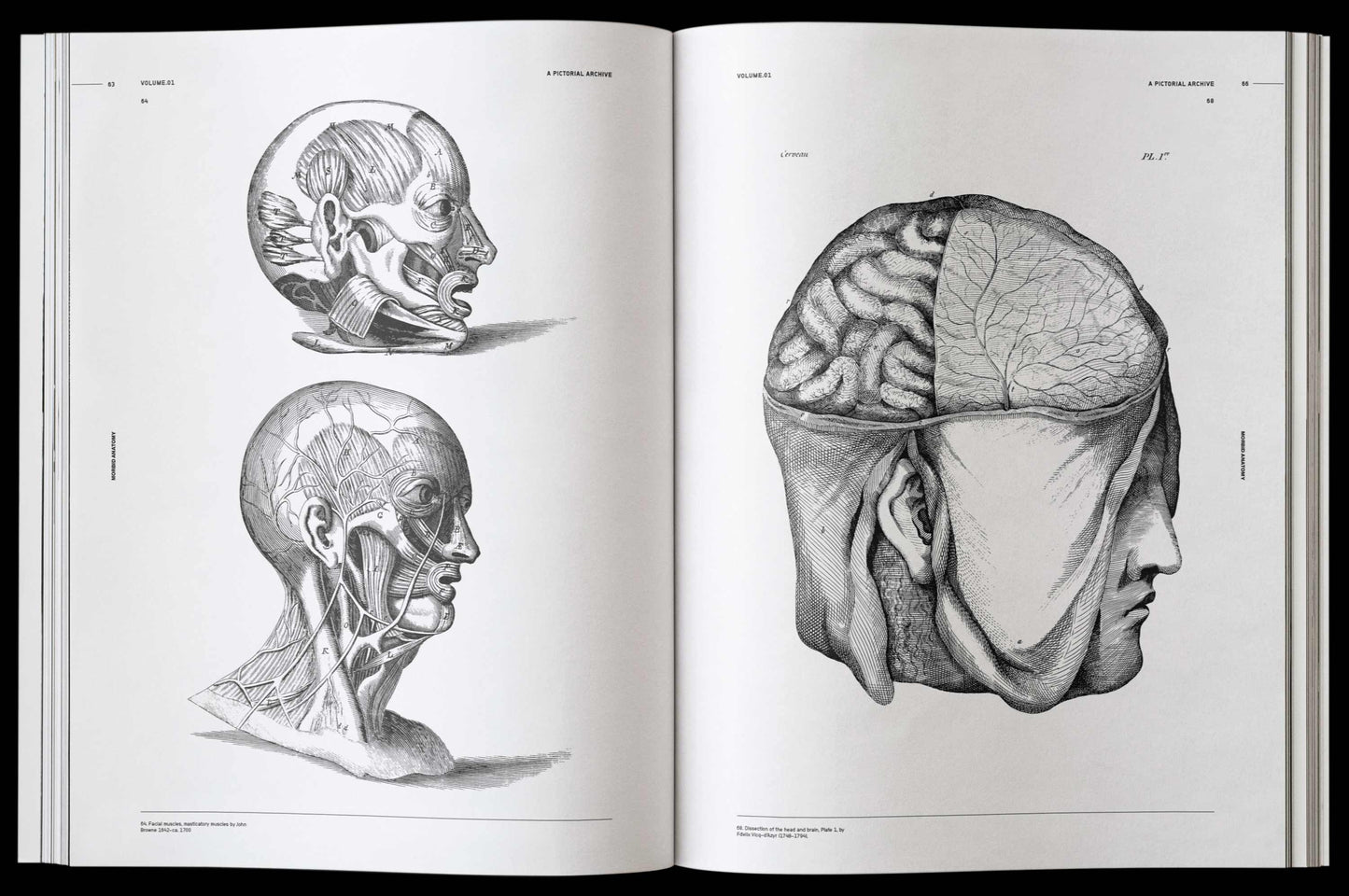 Vault Editions: Morbid Anatomy Reference Book