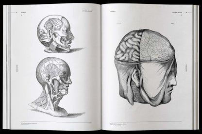 Vault Editions: Morbid Anatomy Reference Book