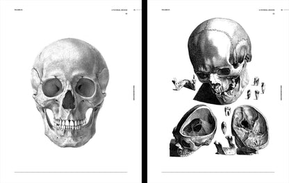 Vault Editions: Skulls & Skeletons Reference Book
