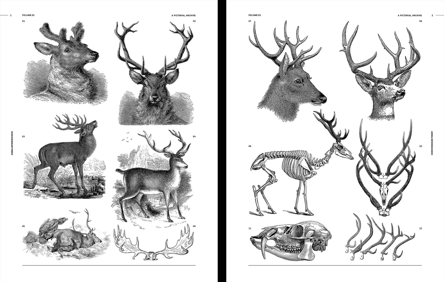 Vault Editions: Animal Reference Book
