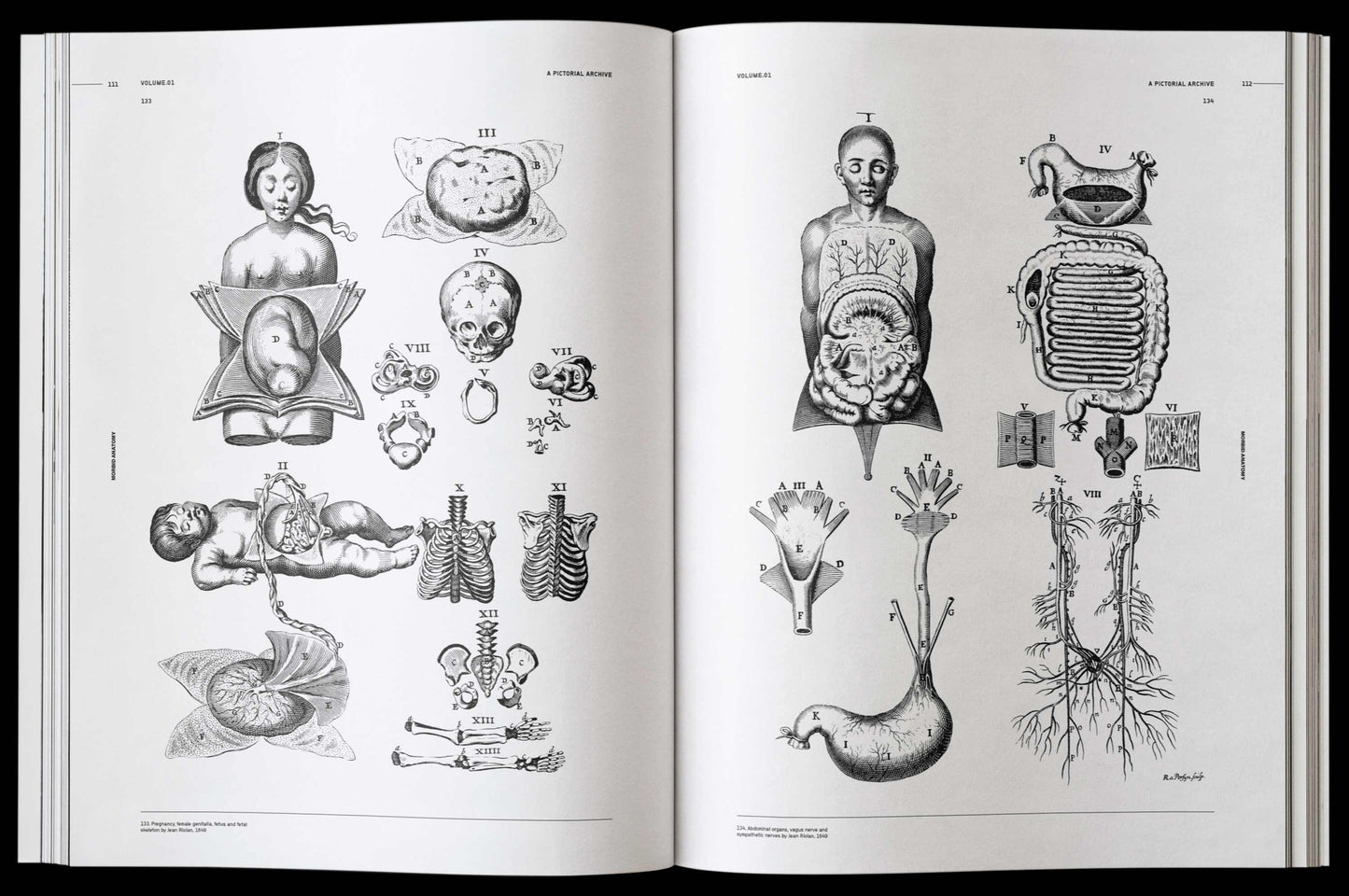 Vault Editions: Morbid Anatomy Reference Book