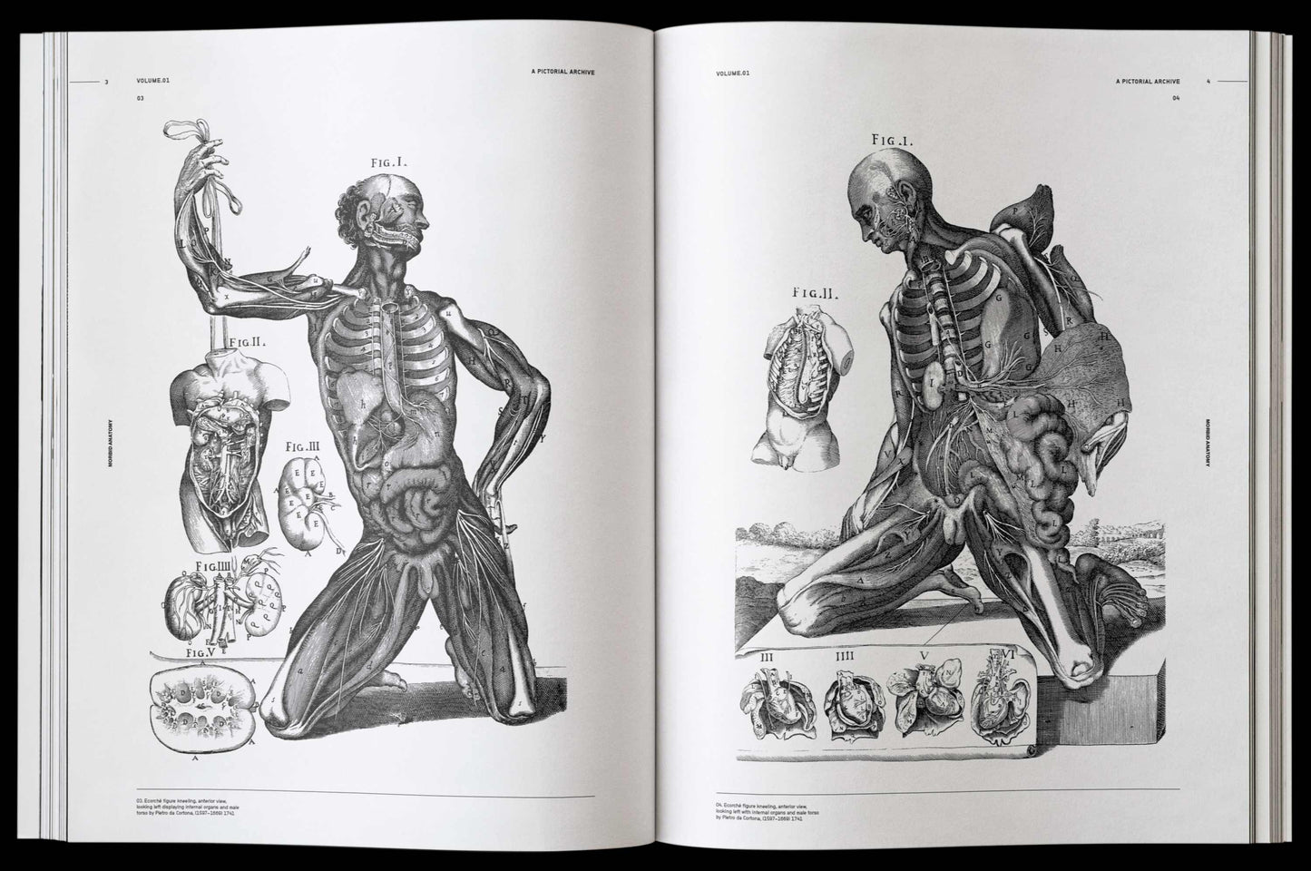 Vault Editions: Morbid Anatomy Reference Book