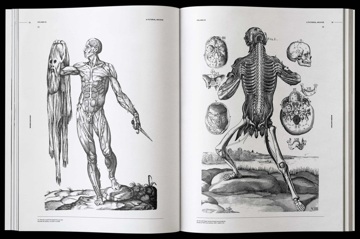 Vault Editions: Morbid Anatomy Reference Book